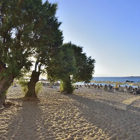 Katerina For Rent Chania (Crete)